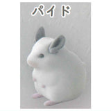 Mark Crown Chinchilla Flocky Mascot [2.Pied]