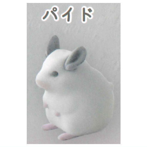 Mark Crown Chinchilla Flocky Mascot [2.Pied]