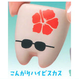 Aloha [1.Kongari Hibiscus]