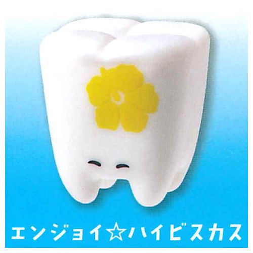 Aloha [5.Enjoy Hibiscus]