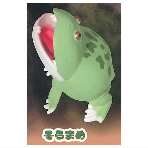 Pakutto! Budgett's Frog [2.Soramame]