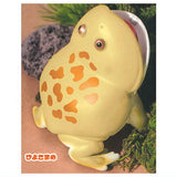 Pakutto! Budgett's Frog [3.Hiyokomame]
