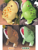 Pakutto! Budgett's Frog [All 4 type set(Full Complete)]