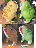Pakutto! Budgett's Frog [All 4 type set(Full Complete)]