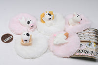 Muchimuchi Bull Terrier orusuban figure [All 5 type set(Full Complete)]