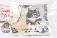 Cat Money Handkerchief [3.New sen en-satsu]