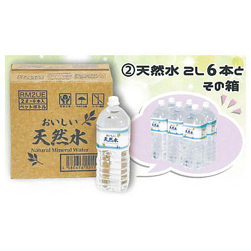 Miniature 6-Pack Bottled Drinks and Box [2.Natural Mineral Water 2L - 6 Bottles and Box]