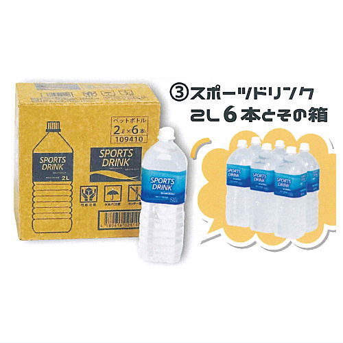 Miniature 6-Pack Bottled Drinks and Box [3.Sports Drink 2L - 6 Bottles and Box]