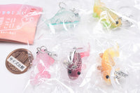 Chiisana mejirushi koi-koi [All 5 type set(Full Complete)]