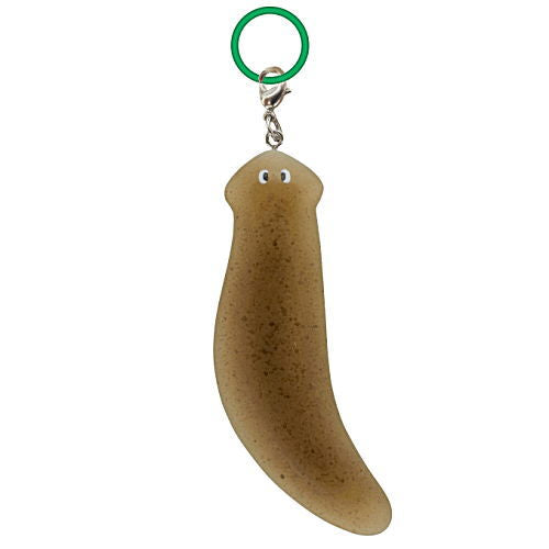 Science Technicolour Planaria regeneration experiment Mejirushi Mascot [4.Planaria b1]
