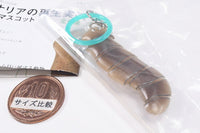 Science Technicolour Planaria regeneration experiment Mejirushi Mascot [5.Planaria b2]