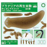 Science Technicolour Planaria regeneration experiment Mejirushi Mascot [All 6 type set(Full Complete)]