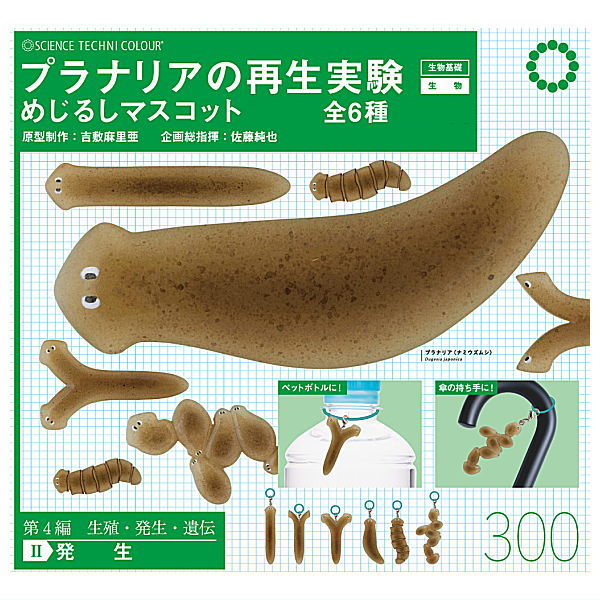 Science Technicolour Planaria regeneration experiment Mejirushi Mascot [All 6 type set(Full Complete)]
