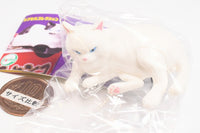Banbyo Noodle Clip [1.Tama the White Cat]