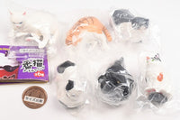 Banbyo Noodle Clip [All 6 type set(Full Complete)]