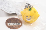 Hirokuma Mejirushi Accessory [2.Hirokuma (nikkori)]