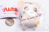 Hamtaro Capkko Friends Part.2 [6.Jingle]