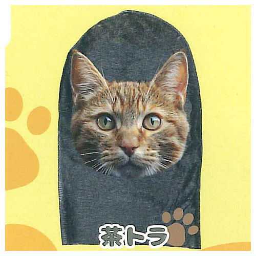 Super real!? Disguise cat mask [2.Chatora]