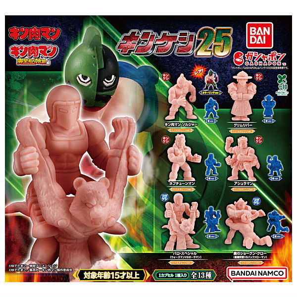 Kinnikuman Kinkeshi Part.25 [All 13 type set(Full Complete)]