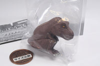 Machiboke Dinosaur [4.Tyrannosaurus (brown)]