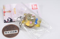 Ribbon Mejirushi Accessory [1.Pokota (Himechan no Ribon)]