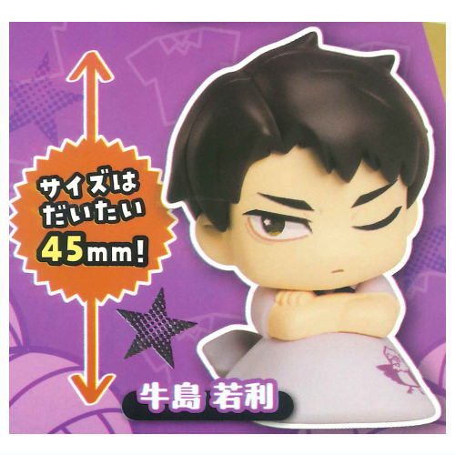 Onemutan Haikyu!! vol.2 nidone Second uniform color ver. [3.Wakatoshi Ushijima]