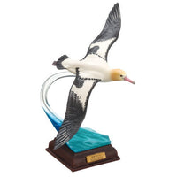 Nature Techni colour Ogasawara Special Edition [5.Phoebastria albatrus]