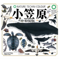 Nature Techni colour Ogasawara Special Edition [All 6 type set(Full Complete)]