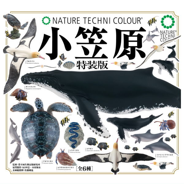 Nature Techni colour Ogasawara Special Edition [All 6 type set(Full Complete)]