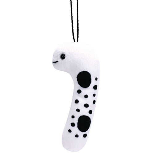 Spotted garden eel Plush Toy Part.2 [2.Spotted garden eel]