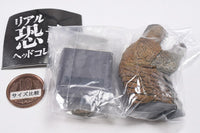 Real Dinosaur Head Collection [1.Tyrannosaurus]