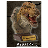 Real Dinosaur Head Collection [1.Tyrannosaurus]