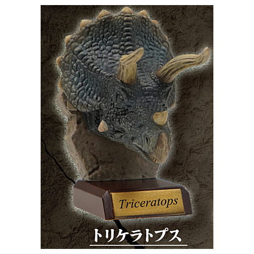 Real Dinosaur Head Collection [2.Triceratops]