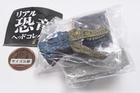 Real Dinosaur Head Collection [4.Velociraptor]