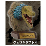 Real Dinosaur Head Collection [4.Velociraptor]