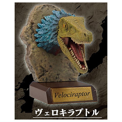 Real Dinosaur Head Collection [4.Velociraptor]