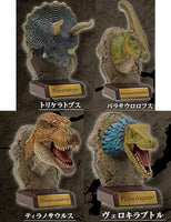 Real Dinosaur Head Collection [All 4 type set(Full Complete)]
