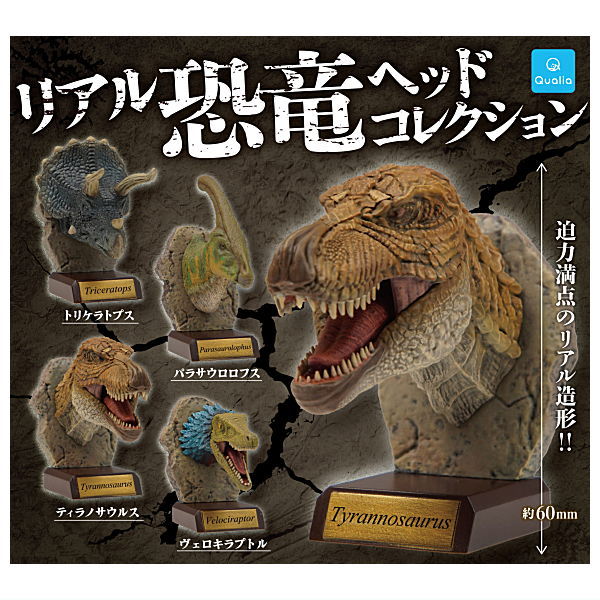 Real Dinosaur Head Collection [All 4 type set(Full Complete)]