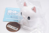 Ekitaininaritsutsuaru neko Mascot Figure [2.Engawade Ekitaininaritsutsuaru neko]