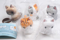 Ekitaininaritsutsuaru neko Mascot Figure [All 5 type set(Full Complete)]