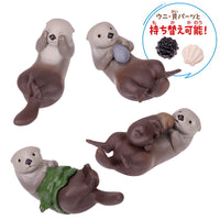 Rakko [All 4 type set(Full Complete)]