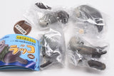 Rakko [All 4 type set(Full Complete)]