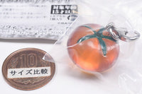 Irodorikawatta Ryowokanjiru Mejirushi Accessory [1.Tomato (orange)]