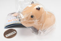 Nohohon Capybara-chan motchiri sofvi [1.Chapi-chan]