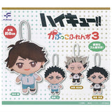 Haikyu!! Capukko friends Part.3 [All 4 type set(Full Complete)]