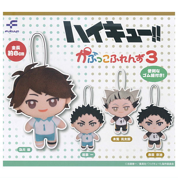 Haikyu!! Capukko friends Part.3 [All 4 type set(Full Complete)]