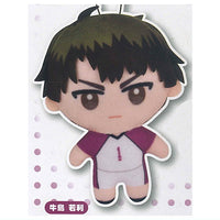 Haikyu!! Capukko friends Part.4 [1.Wakatoshi Ushijima]