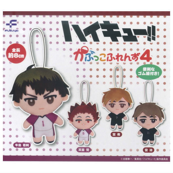 Haikyu!! Capukko friends Part.4 [All 4 type set(Full Complete)]