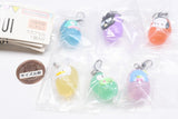 Hapidanbui Mejirushi Accessory Solo Camp [All 6 type set(Full Complete)]
