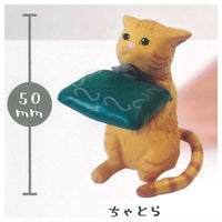 Kekkonshitekunyasai! Ring stand collection [1.Chatora]